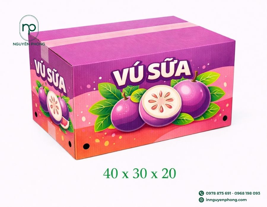 In thùng carton đựng vú sữa